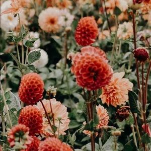 LOUIS VUITTON GOODIE SALES!